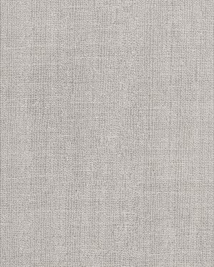 ReConcrete RO04 Street 60x119,7