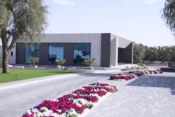 Private Villa in UAE #2