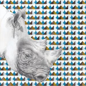 Indomita Rhino