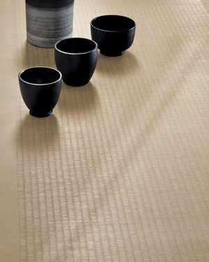 Shiki SH04 CB Alba Still Life
