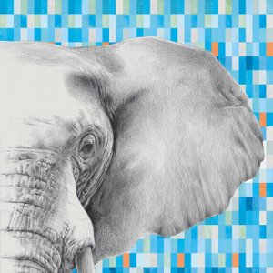 Indomita Elephant
